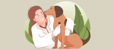 <img src="vaksin-sag-dampezeshk-clinic.jpg" alt="واکسیناسیون سگ - تزریق واکسن توسط دامپزشک">
