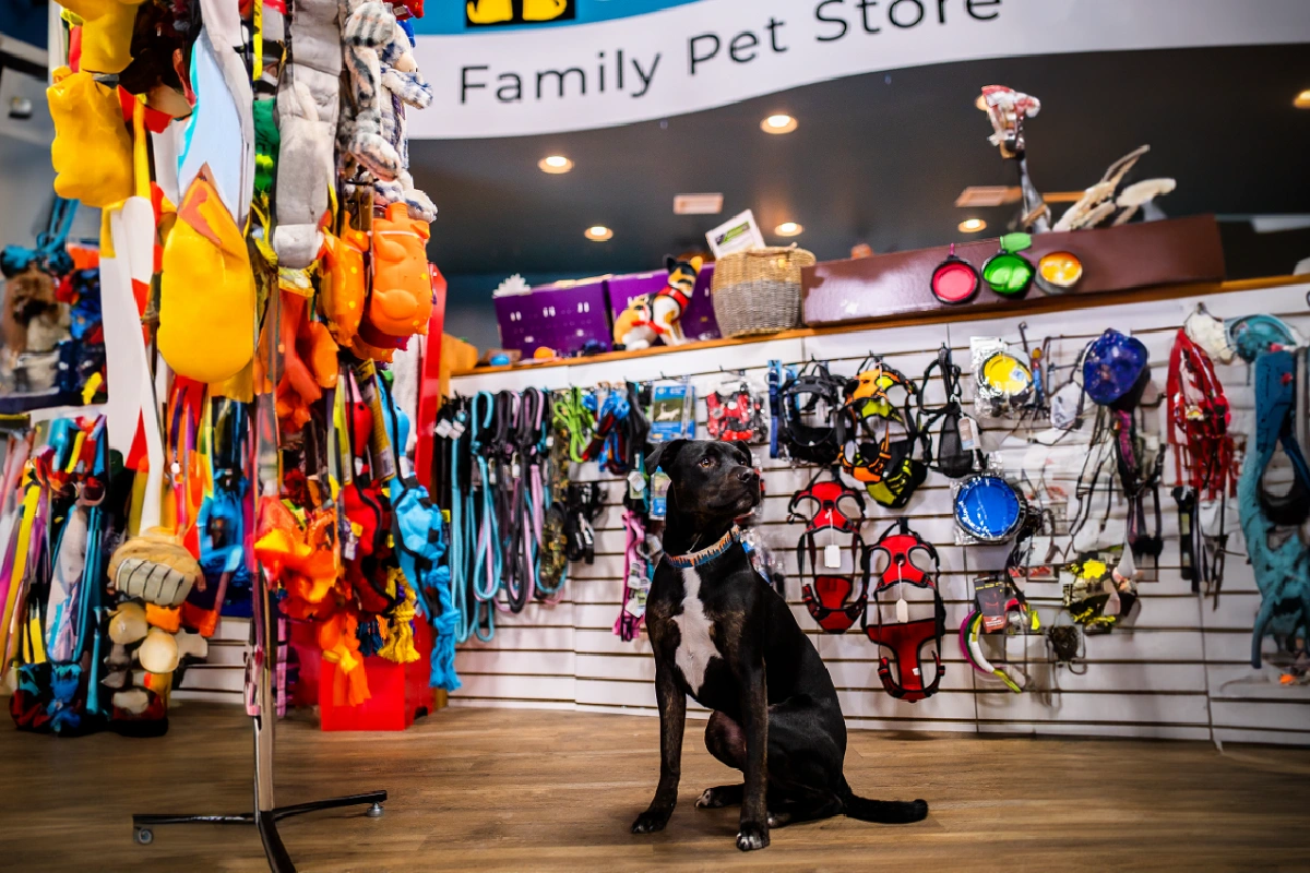 The-best-pet-shops-in-Isfahan-8