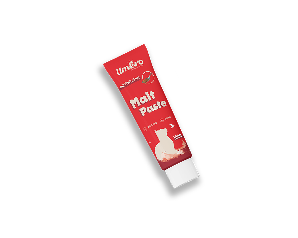 خمیر مالت گربه مدل مولتی ویتامین وزن 100گرم